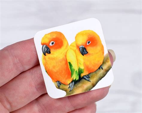 Mini Sun Conures Die Cut Sticker Sun Conures Conures Parrots Birds