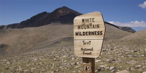 White Mountain Peak Norcal Hiker