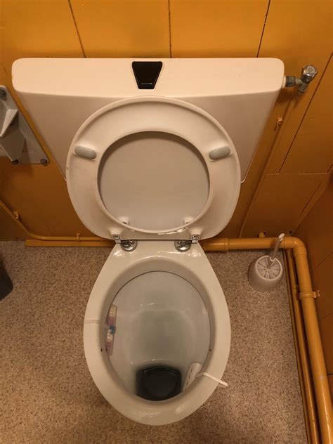 This Toilet With Its Hole Towards The Front Rmildlyinteresting