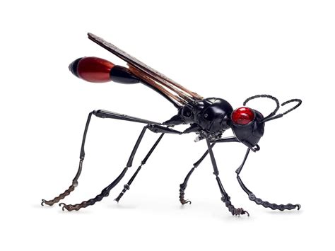 Incredible Scrap Metal Sculptures Look Like Real Insects