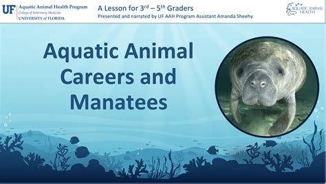 Elementary Online Learning Aquatic Animal Health College Of