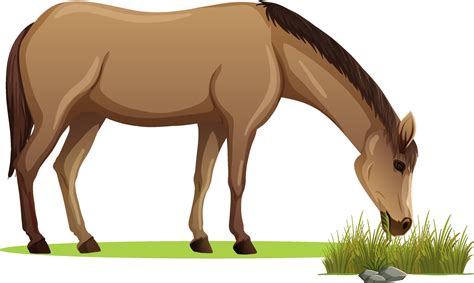 A Horse Eating Grass In Cartoon Style Isolated 3093436 Vector Art At
