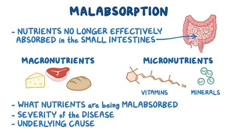 What S Behind Poor Nutrient Absorption Malabsorption Syndrome In A