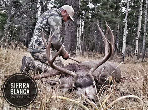 New Mexico Mule Deer Hunting Archery And Rifle Trophy Mule Deer Hunts
