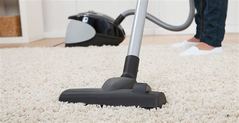 Find The Best Vacuum Cleaner For Your Carpeting The Carpet Guys