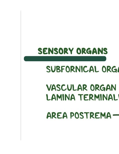 Blood Brain Barrier And Csf Notes Diagrams And Illustrations Osmosis