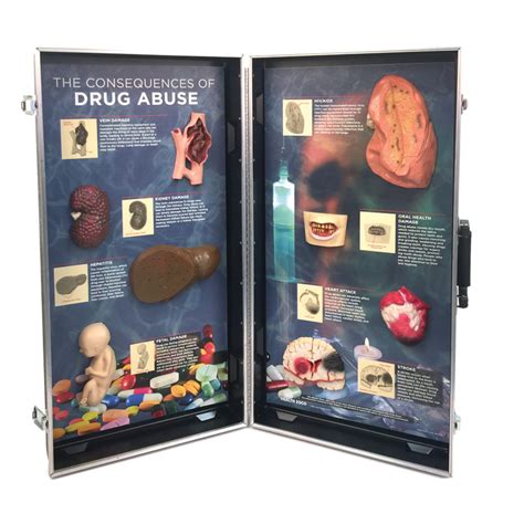 Health Consequences Of Drug Abuse 3 D Display Health Edco