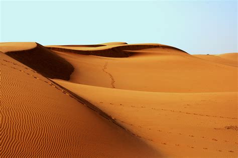 Free Images Landscape Desert Dune Footprints Hot Habitat Sahara