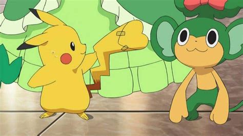 What Is Ash S Pikachu S Gender Pokémon Amino