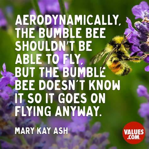“aerodynamically The Bumble Bee Shouldnt Be The Foundation For A Better Life