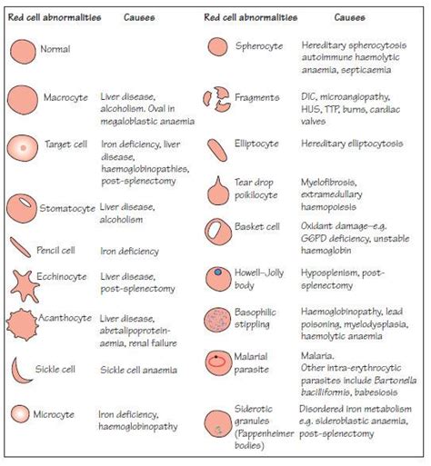 Red Cell Abnormalities Medical Laboratories
