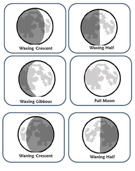Printable Phases Of The Moon Worksheet
