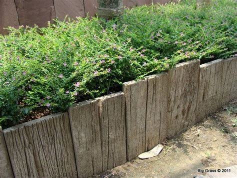 There are a great variety of edging materials to choose from: Eleven interesting garden bed edging ideas | The Owner ...