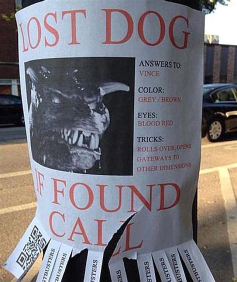 20 Funny Lost And Found Pet Posters Find Pets Losing A Dog Pet Signs