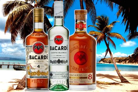 which bacardi rum is best 8 rums reviewed drinks geek