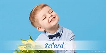 Szilard » Name mit Bedeutung, Herkunft, Beliebtheit & mehr