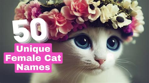 50 Unique Female Cat Name Ideas Youtube