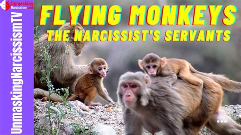Flying Monkeys The Narcissists Servants Youtube