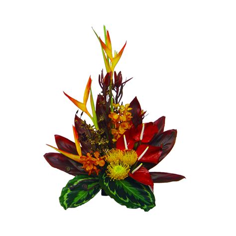 Tropical Sunset Hawaiian Flower Hawaiian Flowers And Tropical Flowers Deliver Anywhere In Usa
