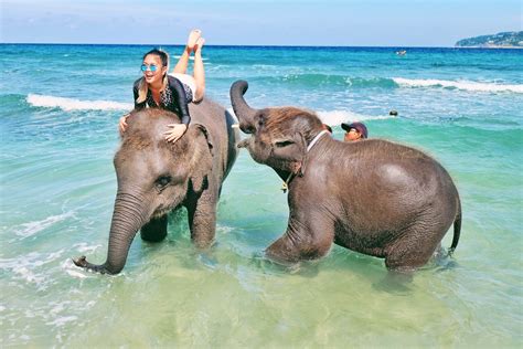 Ferienwohnung Paradise Beach Ferienhäuser mehr FeWo direkt