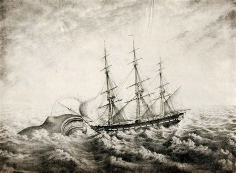 ‘the Tragedy Of The Whaleship Essex Aug 30 Camden Library Penbay Pilot