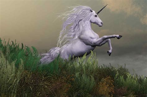 Heres Why Scotlands National Animal Is The Unicorn