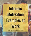 31 Intrinsic Motivation Examples That Drive You to Success