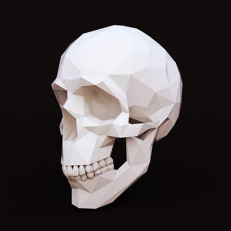 3d Model Low Poly Skull Human Vr Ar Low Poly Cgtrader