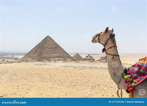 Le Grandi Piramidi Del Complesso Giza In Egitto Meraviglie Del Mondo
