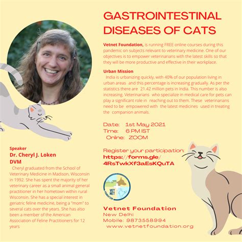 Gastrointestinal Diseases Of Cats Vetnet Foundation