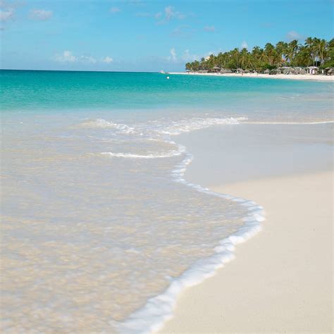 Druif Beach In Aruba A Long Narrow Oval Shaped Stretch Of Ivory Sand