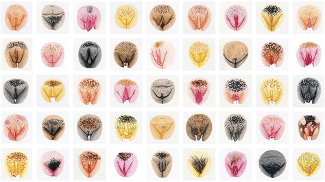 Viva La Vulva Respinning Our Most Misunderstood Body Part