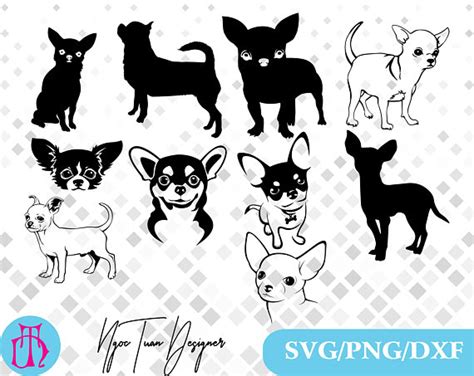 Chihuahua clipart svg, Chihuahua svg Transparent FREE for download on