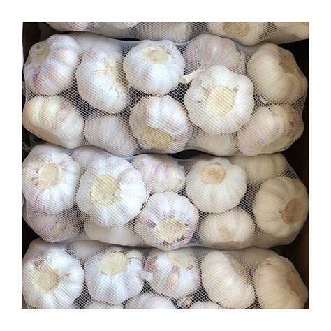 Wholesale Best Grade White Garlic For Sale Exporter Infinity Global