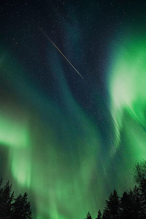 Northern Lights Aurora Night Trees Sky Hd Phone Wallpaper Peakpx