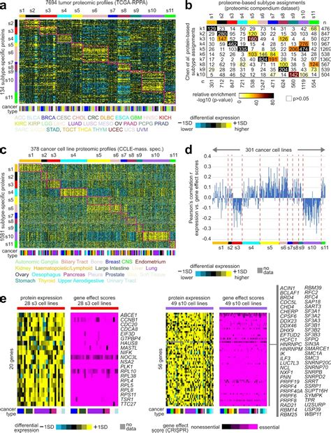proteogenomic characterization of 2002 human cancers reveals pan cancer molecular subtypes and