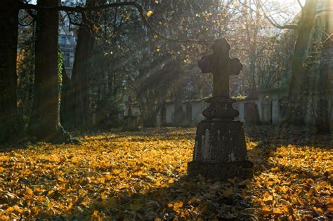 ¿cuál Es El Significado De Soñar Con Un Cementerio La Opinión