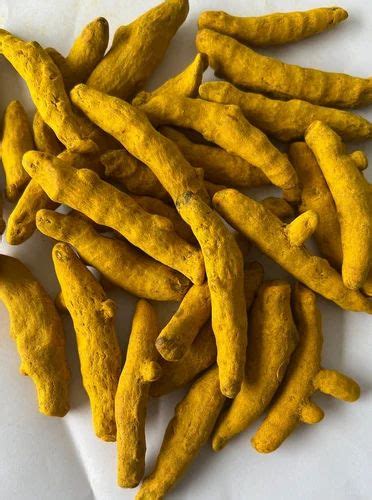 Salem Organic Dried Turmeric Finger At Rs Kg In Amritsar Id