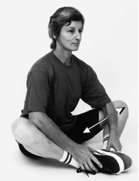 Vivian Grisogono Adductor Stretch Sitting With Feet Together