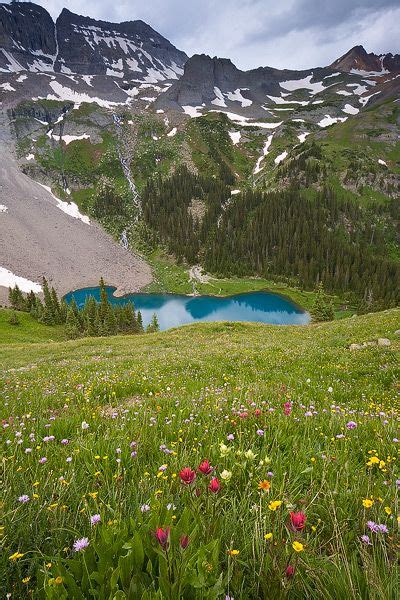 Colorado Mountain Wildflower Lake Summer Photo Beautiful World