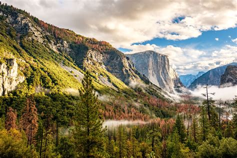 Visites Et Excursions Du Parc National De Yosemite Musement