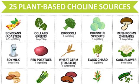 Research health effects, dosing, sources, deficiency symptoms choline is an essential nutrient that is naturally present in some foods and available as a dietary therefore, all plant and animal cells need choline to preserve their structural integrity 1,2. 25 Vegan Sources of Choline