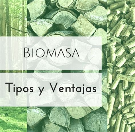 Biomasa Tipos Y Ventajas Comunidad PROINCO The Best Porn Website