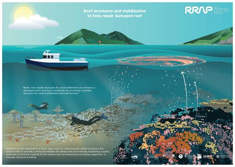 Infographics And Diagrams Archives Reef Restoration And Adaptation Program
