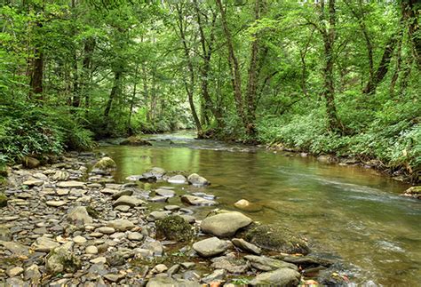 The process is one of the simplest ways to extract gold, and is popular with geology enthusiasts especially because of its low cost and relative simplicity. Georgia Prospecting - Gold and Gem Gazette Magazine