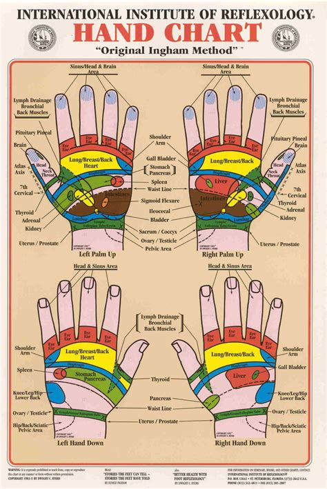 Hand Chart ~ Original Ingham Method Of Reflexology Wall Chart In 2023