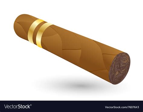 Cigar On White Royalty Free Vector Image Vectorstock