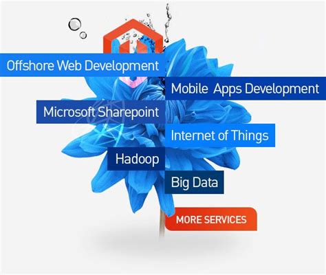 Csoft Technology Web Mobile Apps And Magento Development