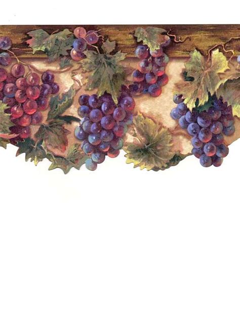 48 Wallpaper Border Grapes