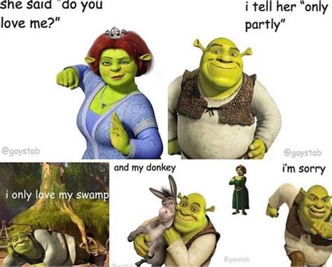 Keep Sending The Shrek Memes Theyre Amazing M Shrek Shrek